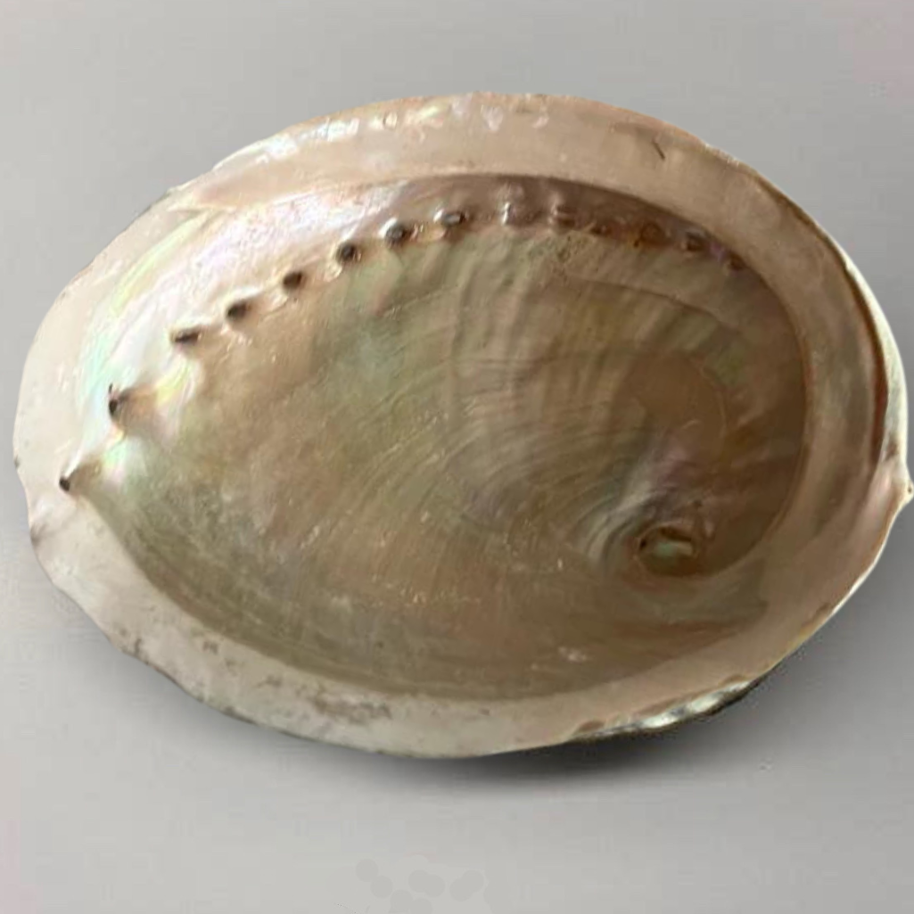 Light Shell